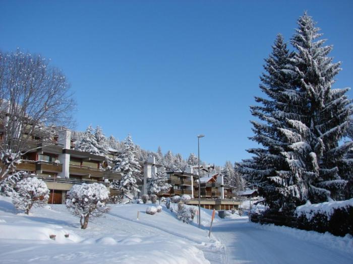 Roc D'Orsay E52 Apartment Leysin Exterior photo